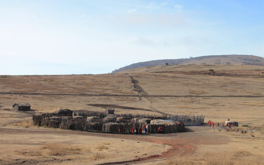 Ngorongoro Crater and Manyara Safari, 4 Days