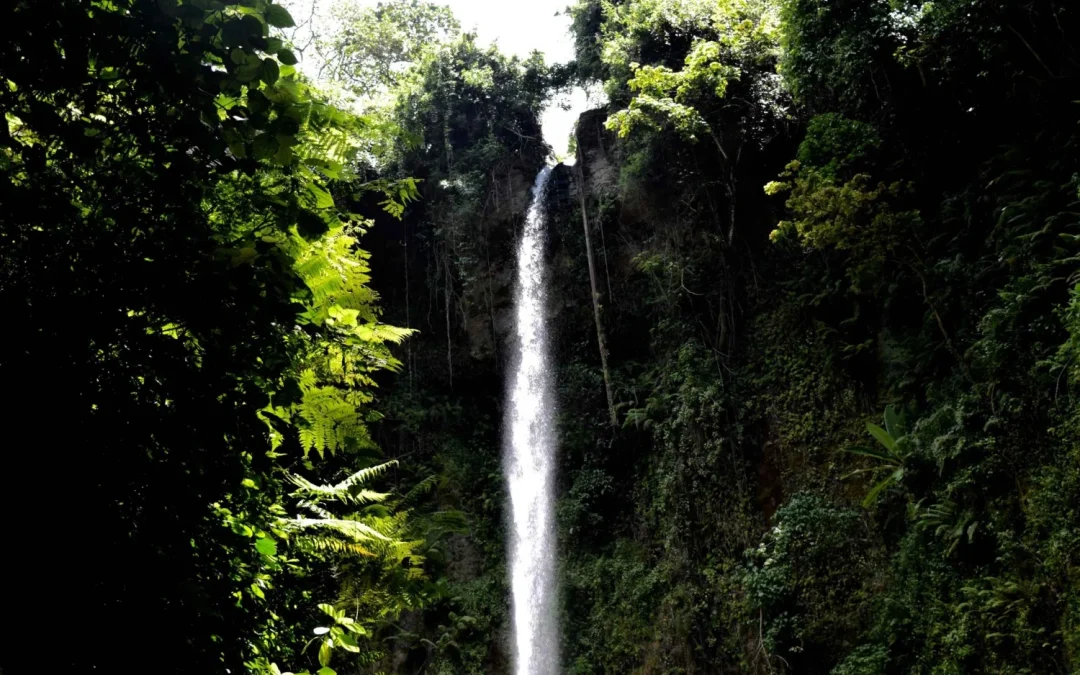 Napuru Waterfall Day Trip